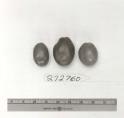 Click for 1 image(s) for this accession. FRUIT